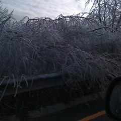 Gelid moss-canadian residential schools #2