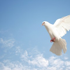 ThePower ft. Olinga Njang