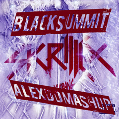 Skrillex vs Marcel Woods - Black Summit (AlexDD Mashup) [Radio Edit]