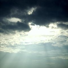 Salvation - Grey Noise