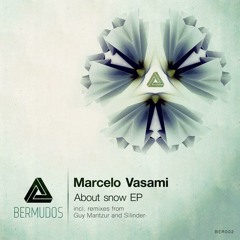 Marcelo Vasami - About Snow