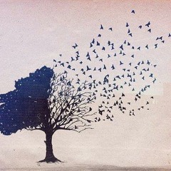 پروانه ها - حسین پناهی