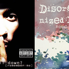 I'm Losin' It + Disorganized Fun (Mashup)