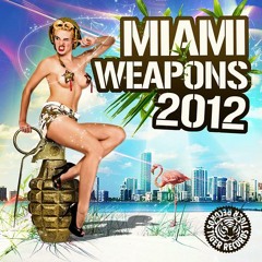 Funk D - Raving in Miami (Original Mix)