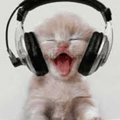 Doctor Hooka-The Funky Selecta