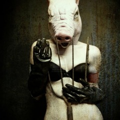 Girls equal pig (Electronic Grincore)