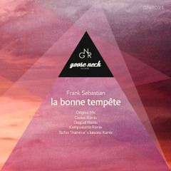 Frank Sebastian - la bonne tempete (Stefan Trummer´s liaisons Remix)out on Gooseneck Records