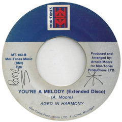 Aged In Harmony – You're A Melody (Extended Disco)