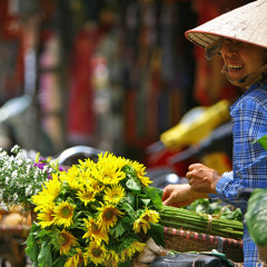 Hà Nội. Hanoi - Đinh Mạnh Ninh