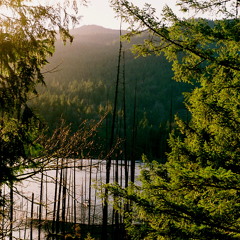 In Deepest Blue - Live at Daylight Music, Union Chapel