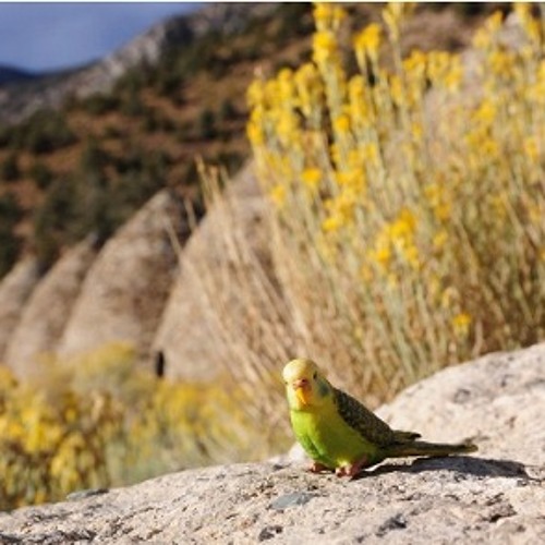 Quicksand Riddim Mix