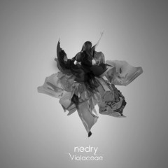 Nedry - Violaceae (Rosko John remix)