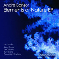 Andre Bonsor - La Caldera (Original Mix)
