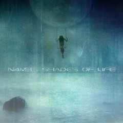 N4M3 - Shades Of Life 12"