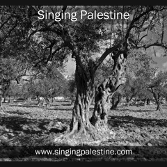 Ya bai miriam, Palestinian song (folk), by Quentin Dujardin – Belgium , feat. El Funoun – Palestine