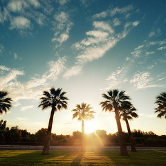 Dutch Bangers Pt.2 !