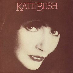 Kate Bush - Pull Out The Pin (Electro Kings Remixxxx 2012)