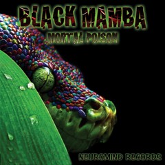 Black Mamba_Mortal Poison (Original Mix)