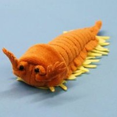 Zhongyu - Yohoia and Hallucigenia