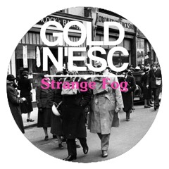 Gold&Esc - Strange Fog (original mix) [preview]