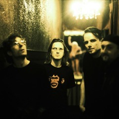 Porcupine tree trains
