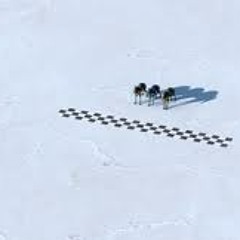 Tiesto VS. Swedish House Mafia- Chasing Greyhounds (Curious Fox Mash)