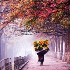 Nhớ Mùa Thu Hà Nội - Hồng Nhung