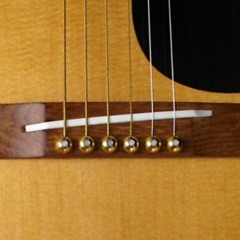 acoustic