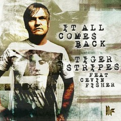Tiger Stripes & Cevin Fisher - It All Comes Back (Stefano Noferini Remix) [Toolroom Records]