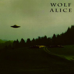 Wolf Alice - Destroy Me