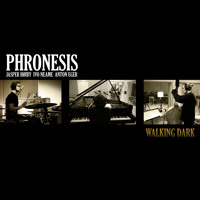 PHRONESIS Walking Dark
