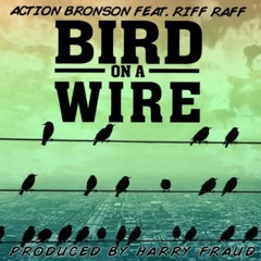 Harry Fraud - Bird On A Wire (Action Bronson & Riff Raff Instrumental)