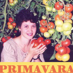 PRIMAVARA HOT BASS BALKANIZACIJA MIXTAPE