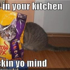 Flight Of the Concords::Inner City Pressure VS. Gramatik::The Night Hawk