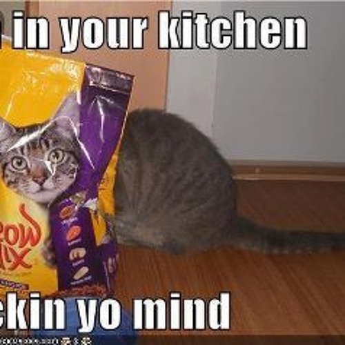 Flight Of the Concords::Inner City Pressure VS. Gramatik::The Night Hawk