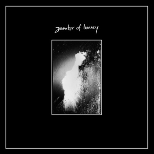 Janitor of Lunacy - War Days