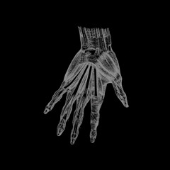 Borealis - Nightfall (Liar's 'Adrenal Ego Lap' Mix)