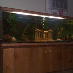 Last Man Standing  at My Couch