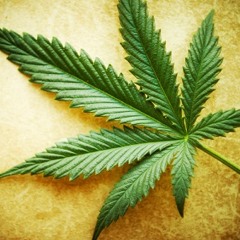 Urban Drop Leaf Riddim Mix