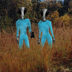 Psychomotricity in Kindergarten - A****i