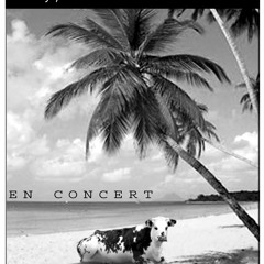 SOUL PARASOL - Calypso be