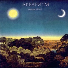 Аквариум - Иван-чай