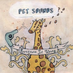 Pet Sounds - Sanctuary (Everyone is Wrong) [2008]