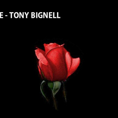 Rosie - Tony Bignell (REMASTERED)