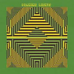 Peaking Lights - Amazing and Wonderful (Damu Remix)