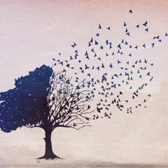 The Time Has No Gone