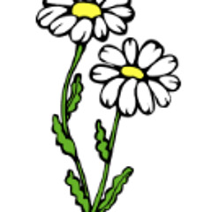 Is This Really Happening? (Live)