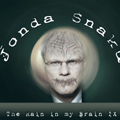 The Rain in my Brain IX - Jonda Snaku