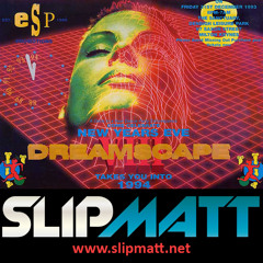Slipmatt - Live @ Dreamscape 8 31-12-1993