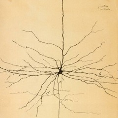 Nerve Stew-Wild Bull